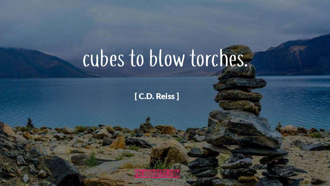 Cubes quotes by C.D. Reiss
