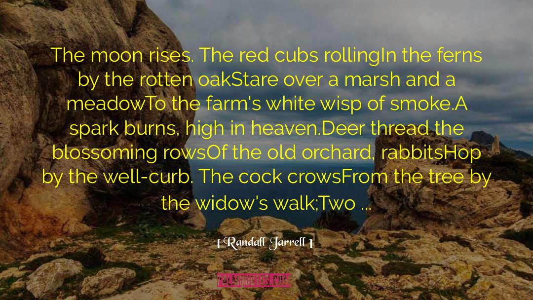 Cubs quotes by Randall Jarrell