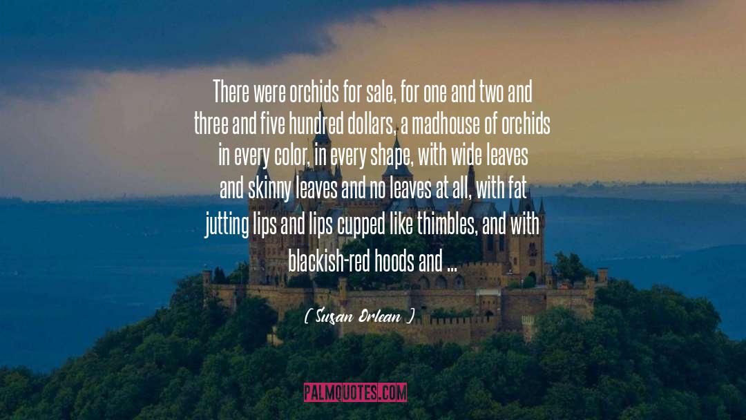 Cucaro For Sale quotes by Susan Orlean