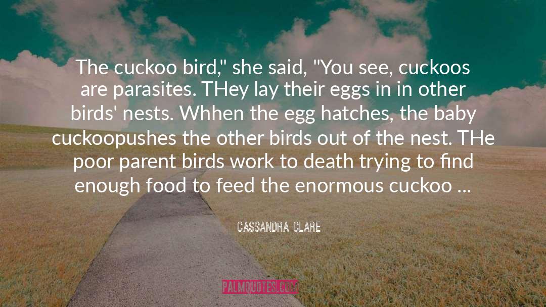 Cuckoo Clocks quotes by Cassandra Clare