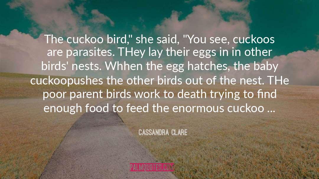 Cuckoos quotes by Cassandra Clare