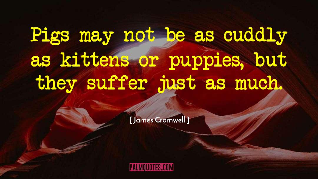 Cuddly quotes by James Cromwell