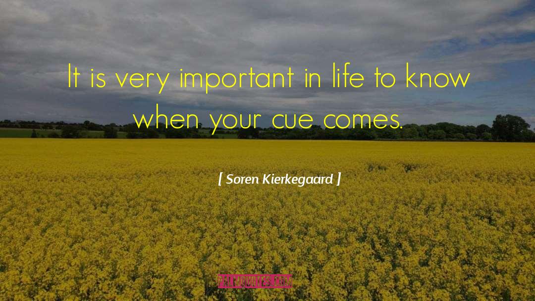 Cue quotes by Soren Kierkegaard