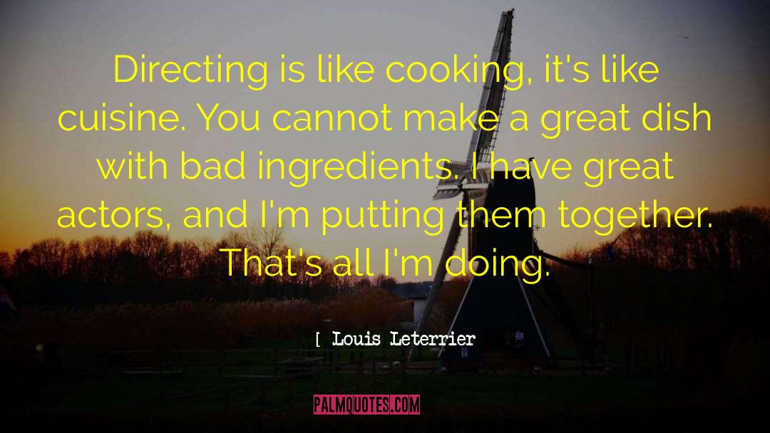 Cuisine quotes by Louis Leterrier