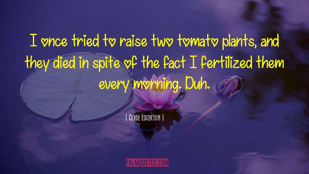 Cukes And Tomatoes quotes by Clyde Edgerton