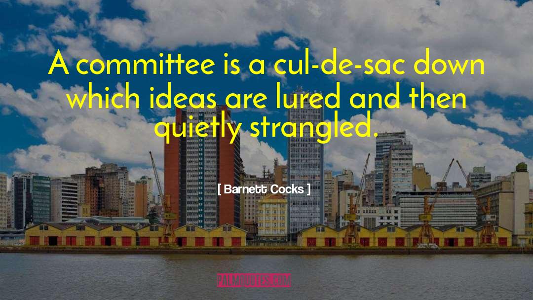 Cul De Sacs quotes by Barnett Cocks