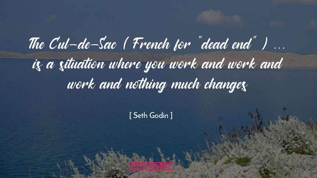 Cul De Sacs quotes by Seth Godin