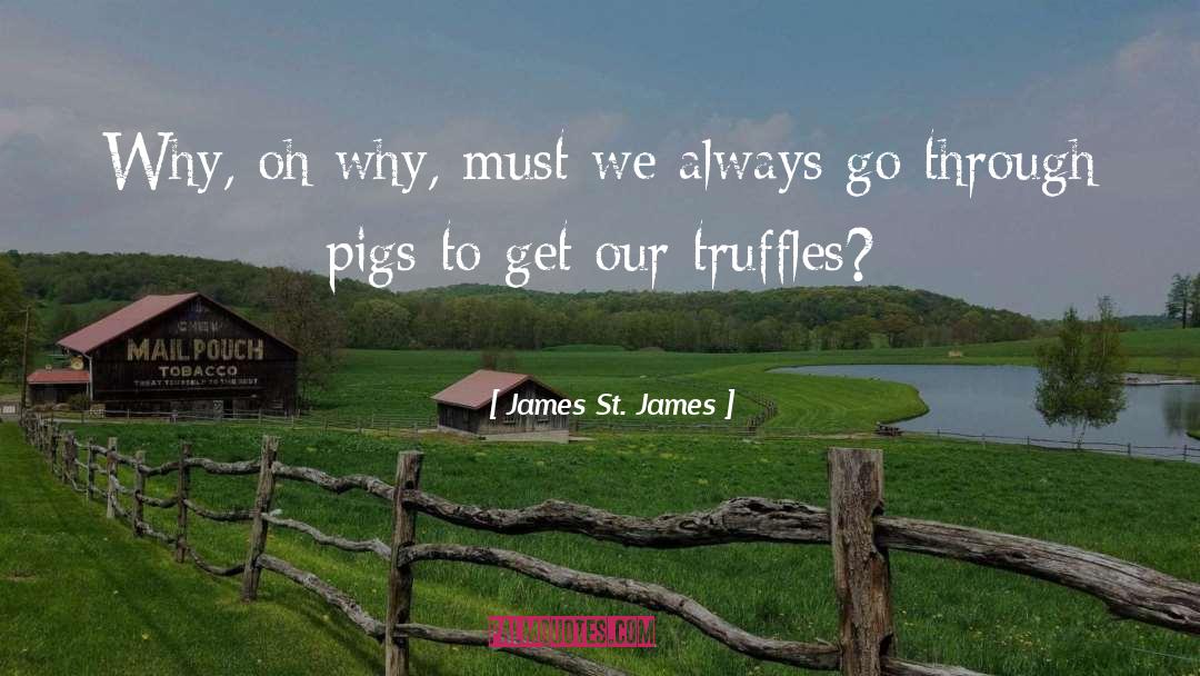 Cullumber St quotes by James St. James