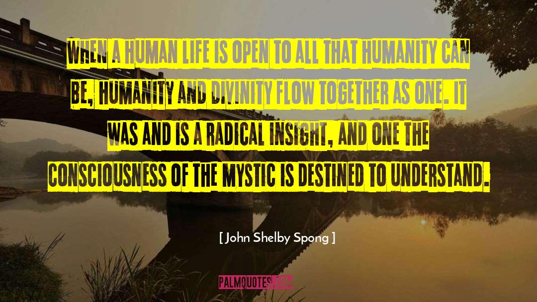Culminating Insight quotes by John Shelby Spong