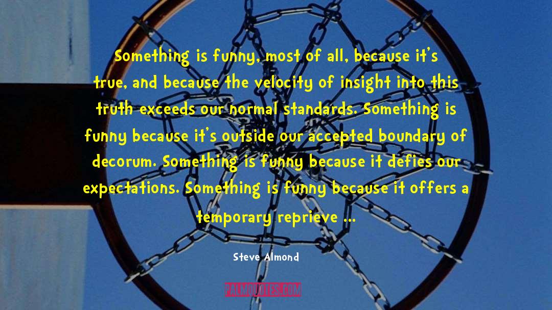 Culminating Insight quotes by Steve Almond