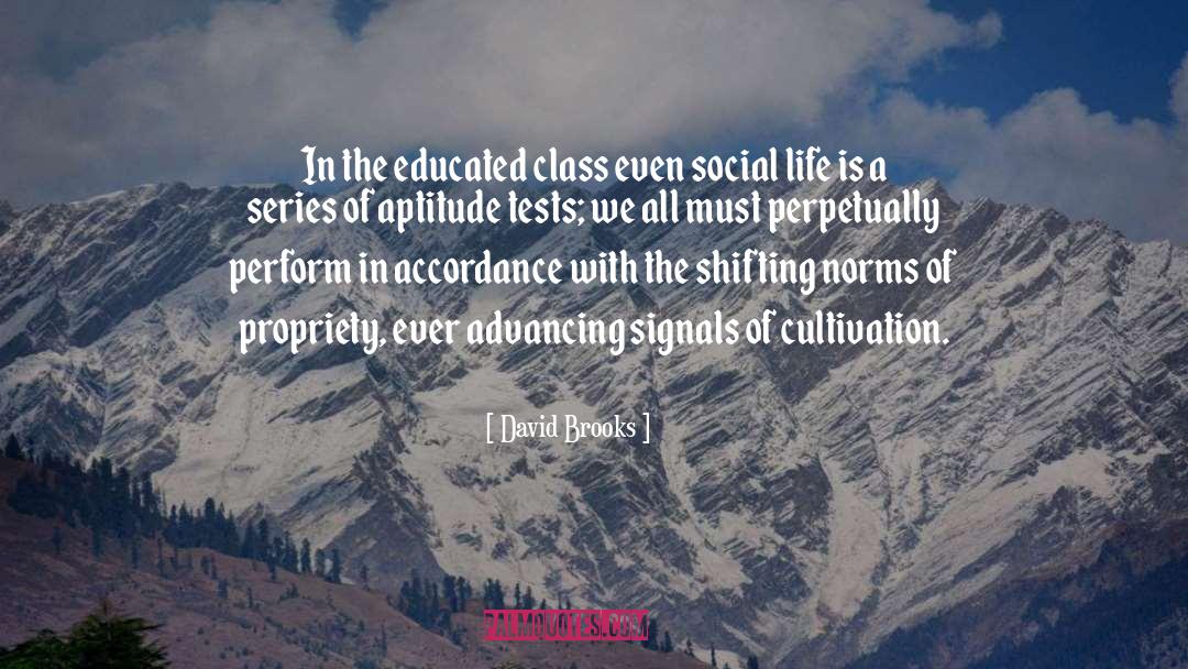 Cultivation quotes by David Brooks