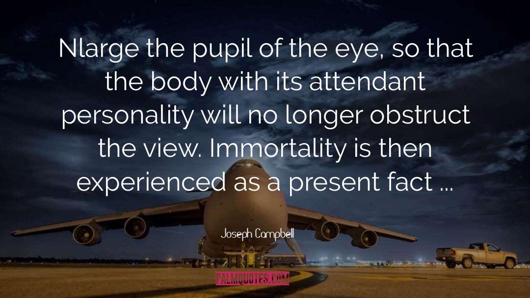 Cults Of Personality quotes by Joseph Campbell