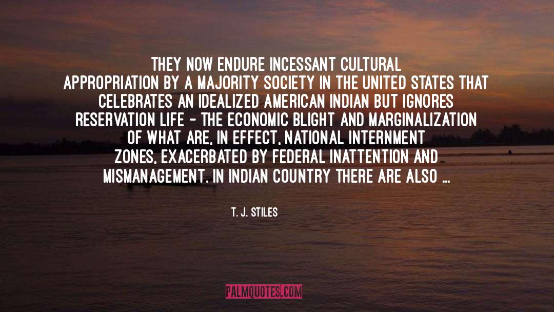 Cultural Appropriation quotes by T. J. Stiles