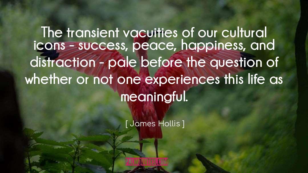 Cultural Critique quotes by James Hollis