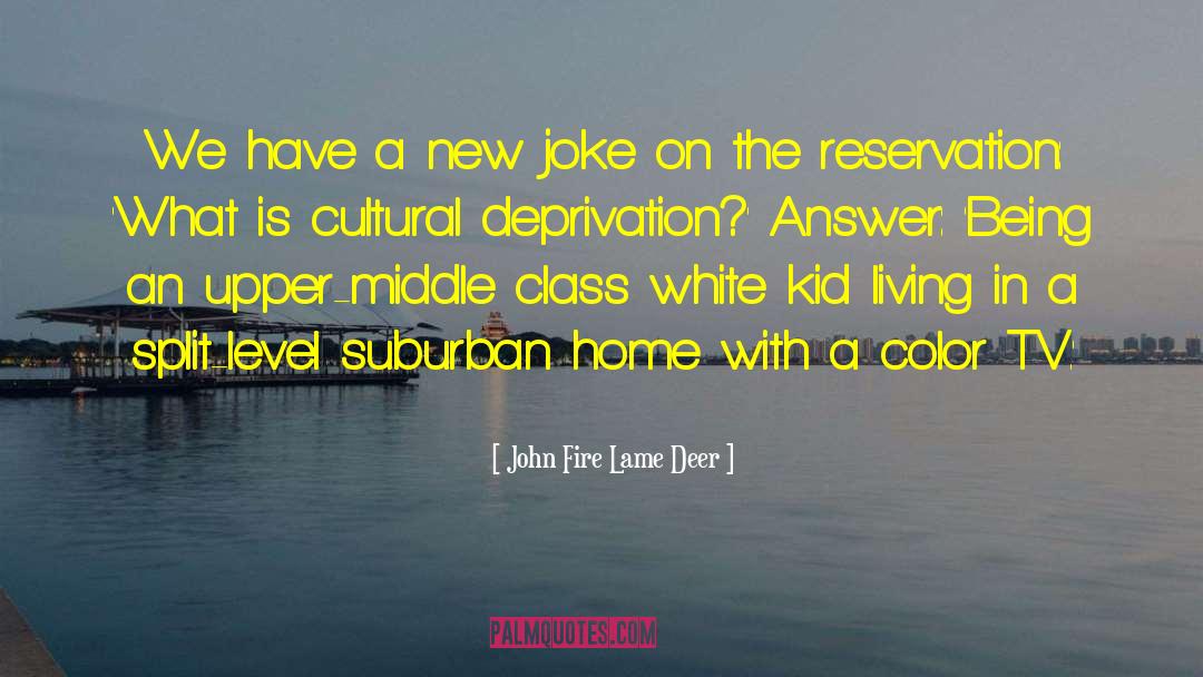 Cultural Deprivation quotes by John Fire Lame Deer