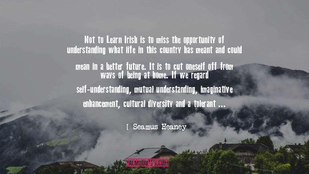 Cultural Diversity quotes by Seamus Heaney