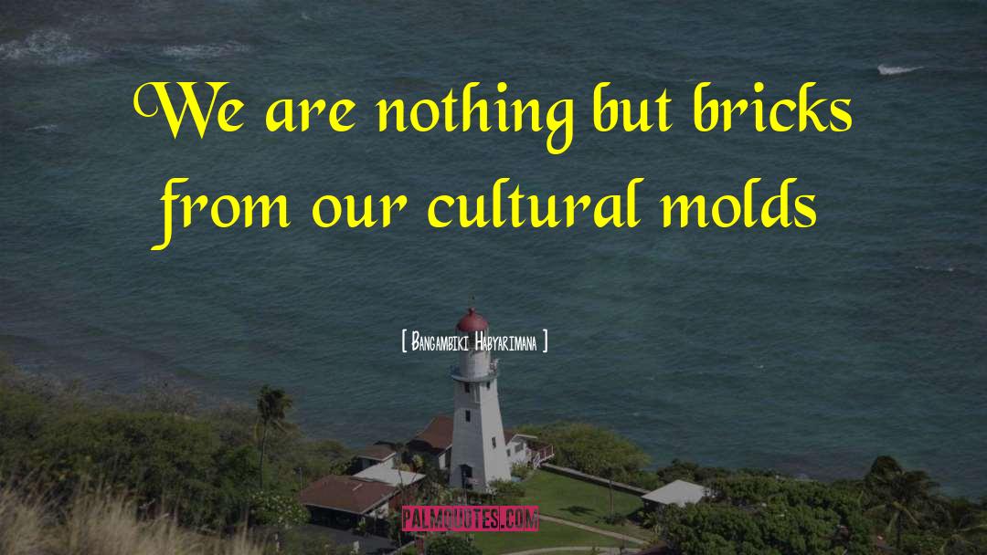 Cultural Enrichment quotes by Bangambiki Habyarimana