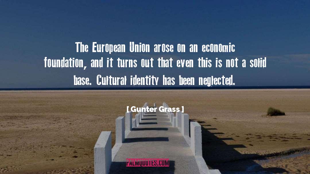 Cultural Identity quotes by Gunter Grass