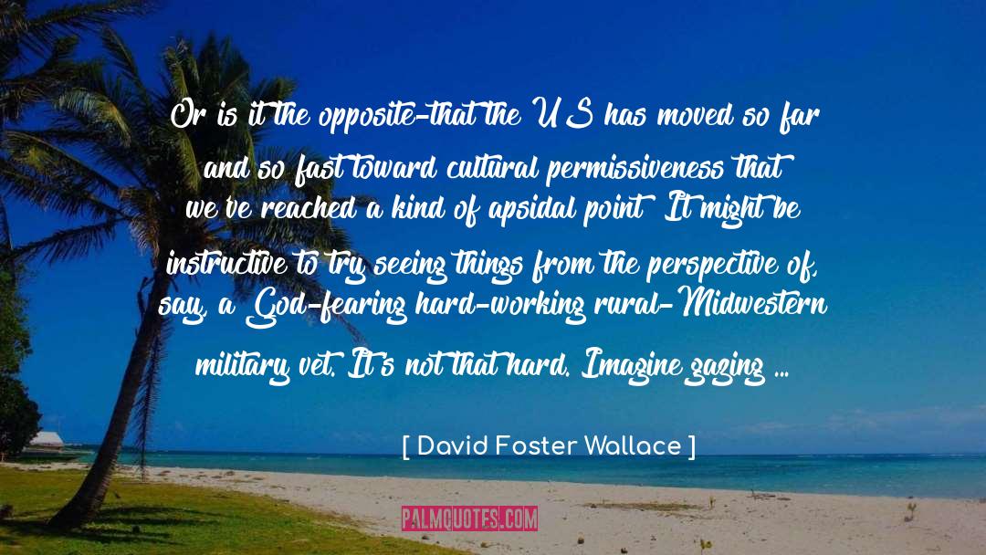 Cultural Mores quotes by David Foster Wallace