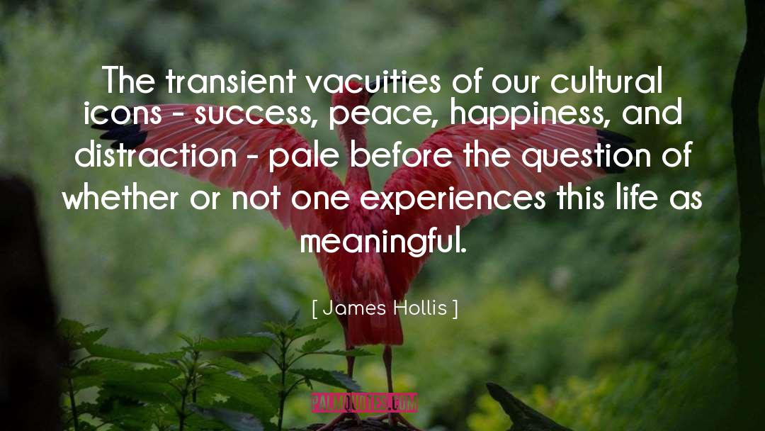Cultural Movements quotes by James Hollis