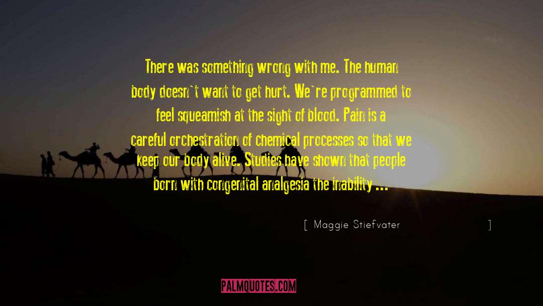 Cultural Studies quotes by Maggie Stiefvater
