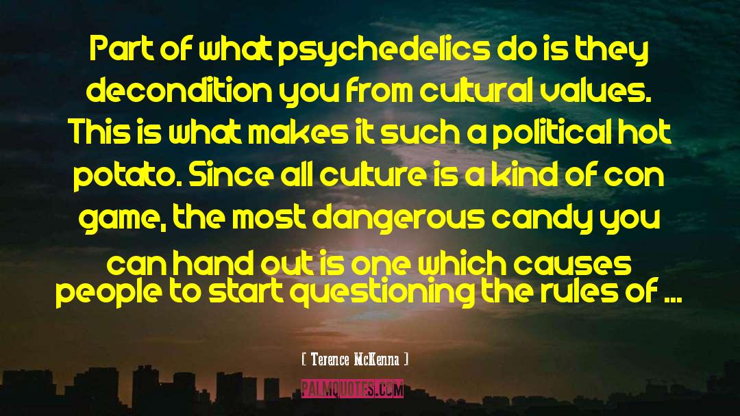 Cultural Values quotes by Terence McKenna