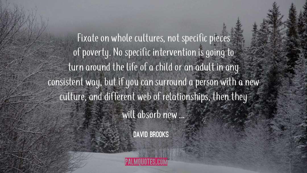 Culture And Environment quotes by David Brooks