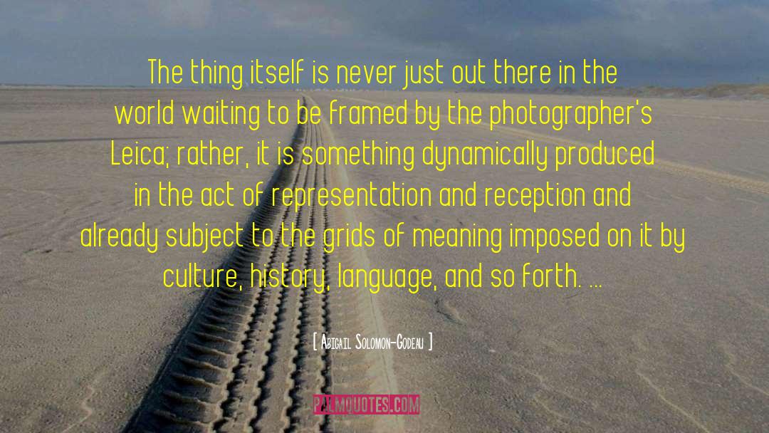 Culture Appropriation quotes by Abigail Solomon-Godeau
