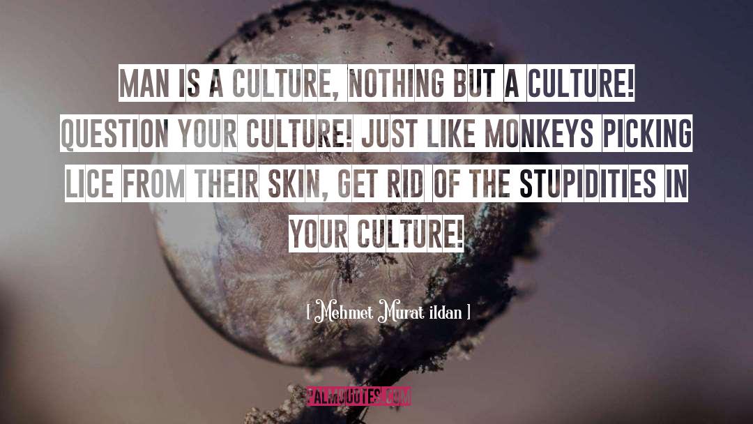 Culture Critique quotes by Mehmet Murat Ildan