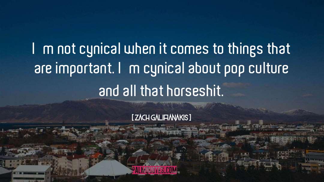 Culture Identity quotes by Zach Galifianakis