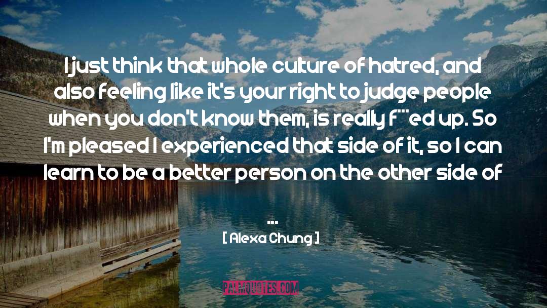 Culture Of Hatred quotes by Alexa Chung