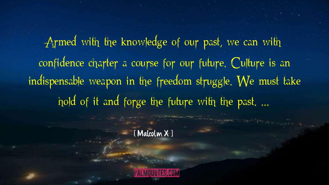 Culture Shock quotes by Malcolm X