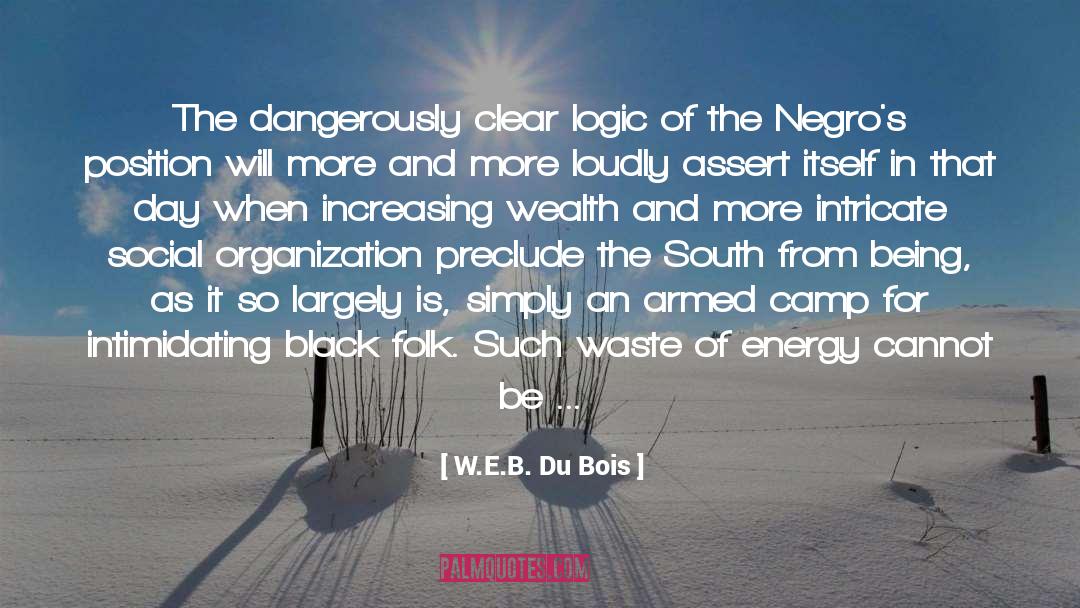Cumalot Camp quotes by W.E.B. Du Bois
