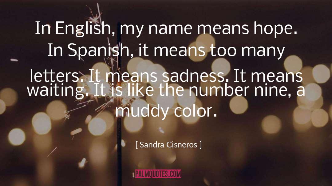 Cumbersomely Means quotes by Sandra Cisneros