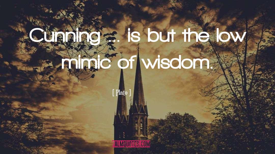 Cunning quotes by Plato