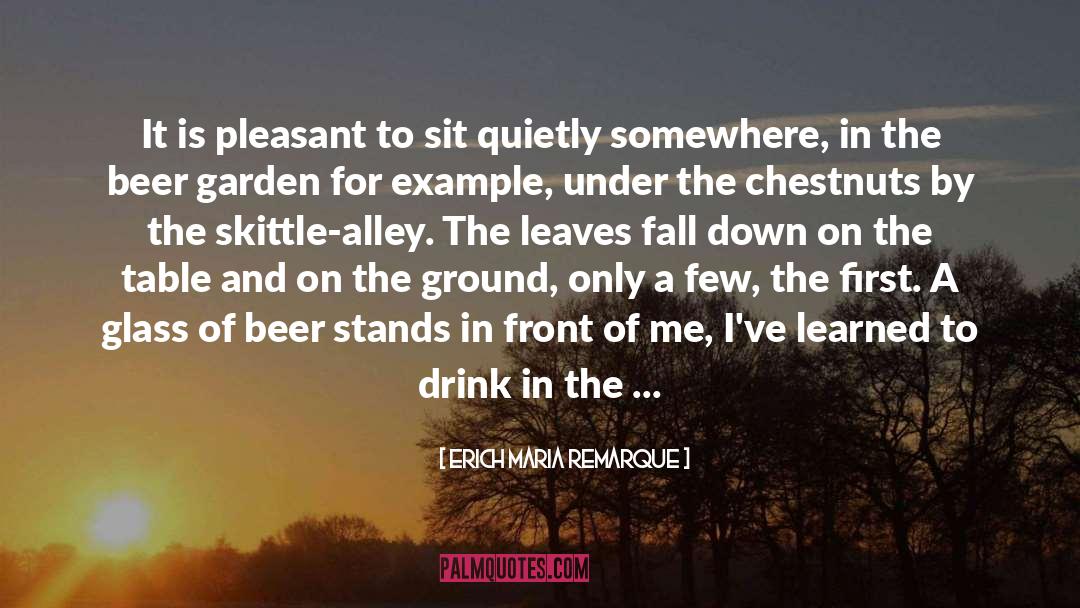 Cup Half Empty quotes by Erich Maria Remarque