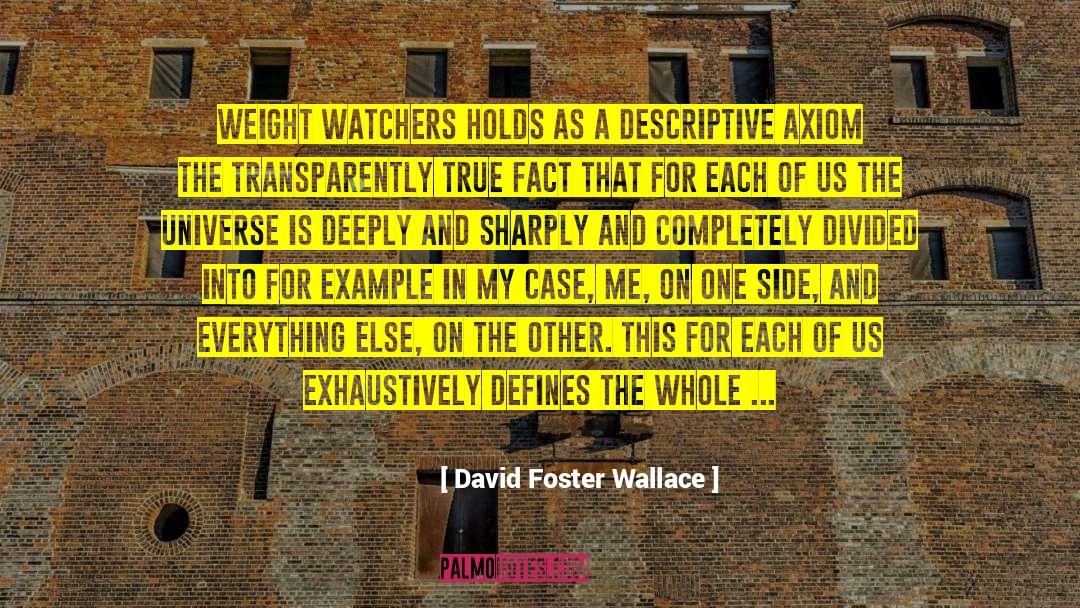 Cup Half Full quotes by David Foster Wallace