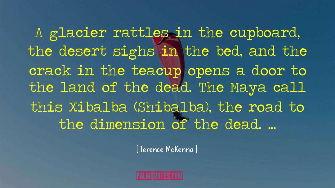 Cupboards quotes by Terence McKenna