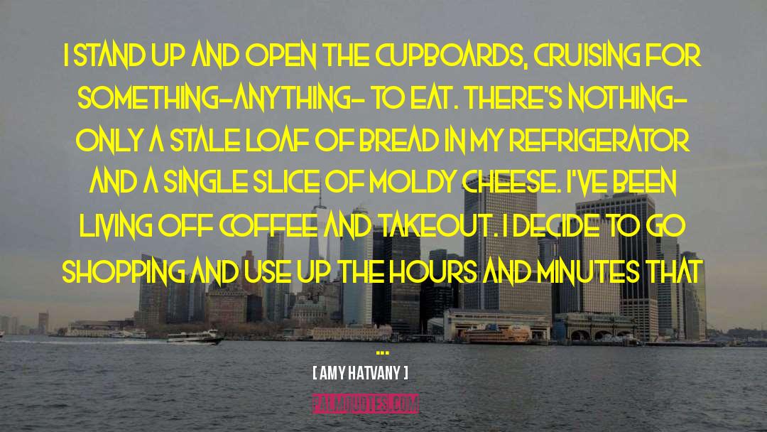 Cupboards quotes by Amy Hatvany