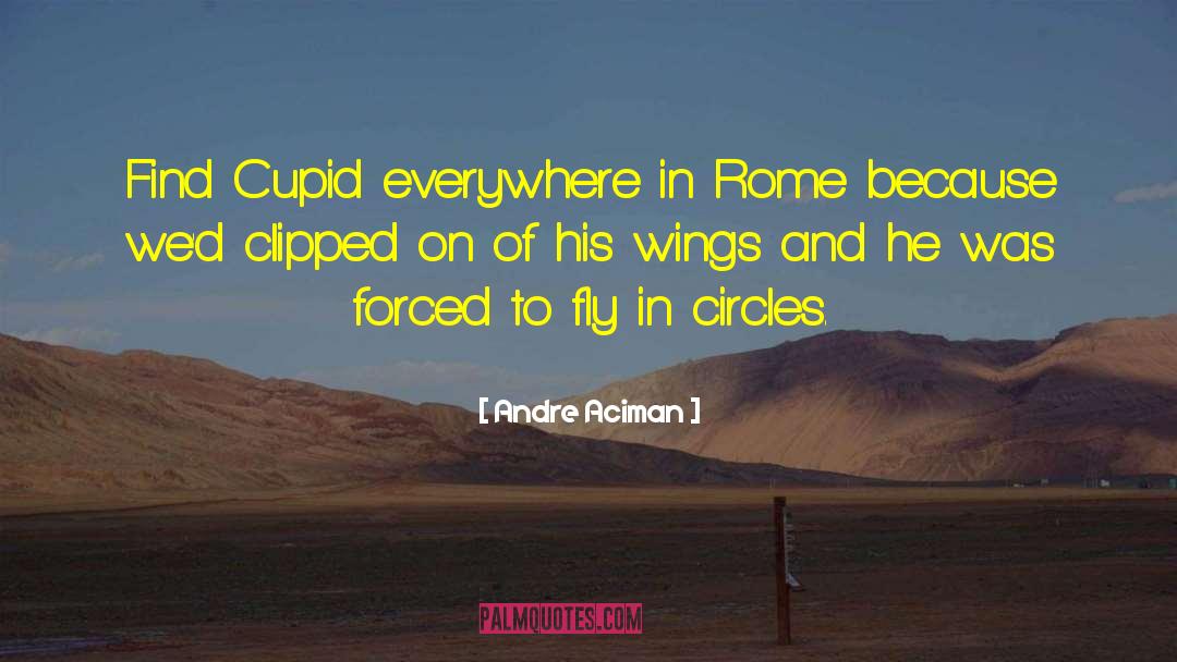 Cupid quotes by Andre Aciman