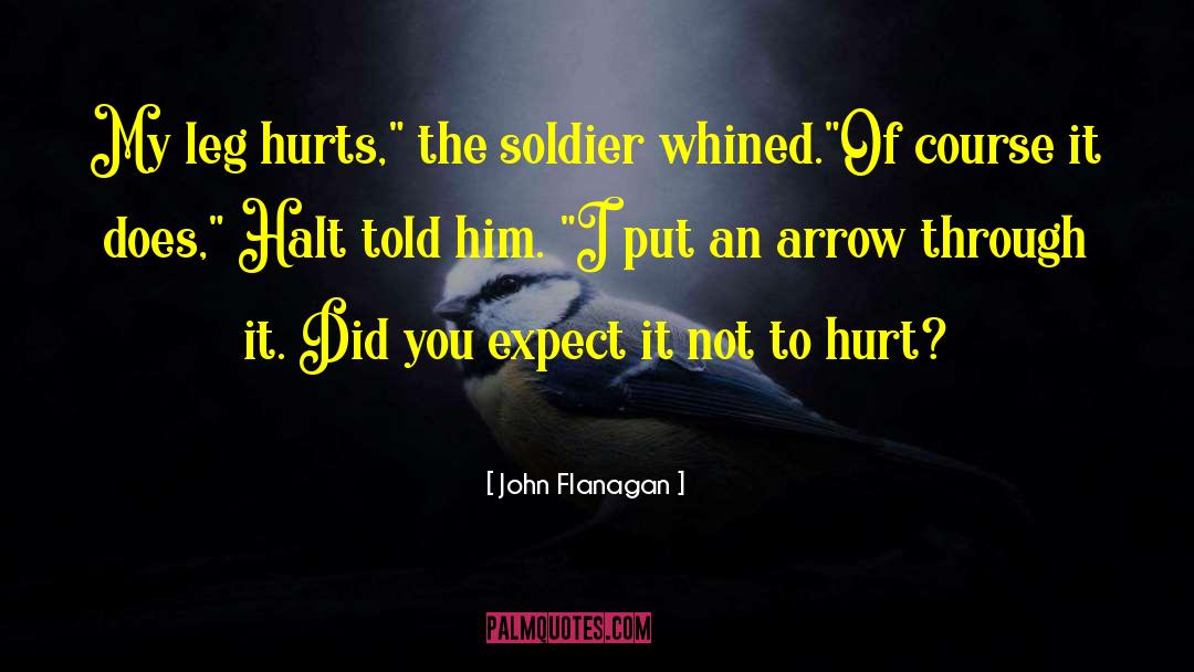 Cupid S Arrow quotes by John Flanagan