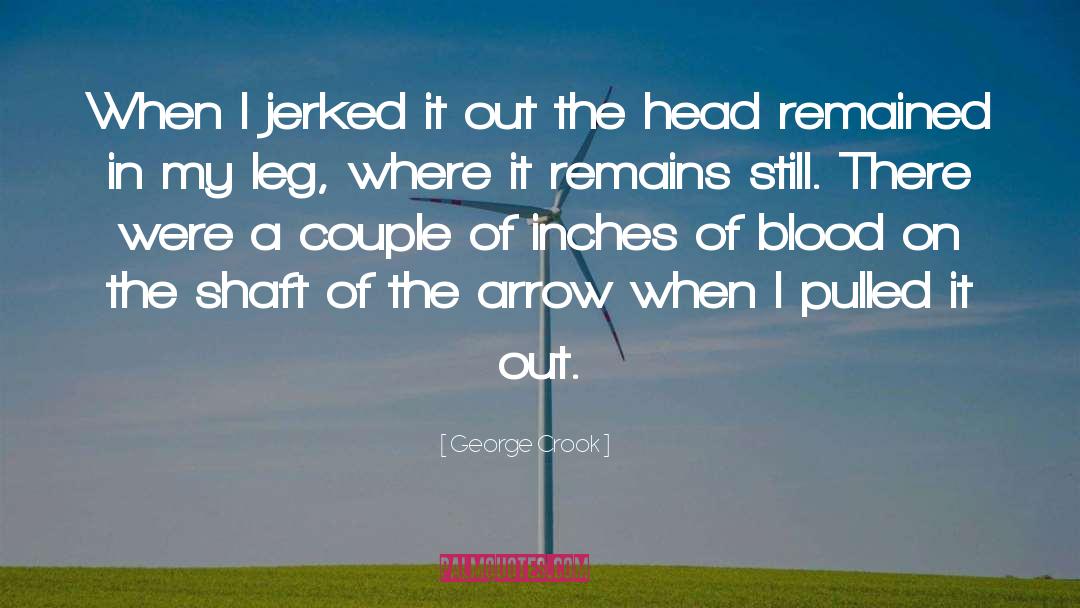 Cupid S Arrow quotes by George Crook