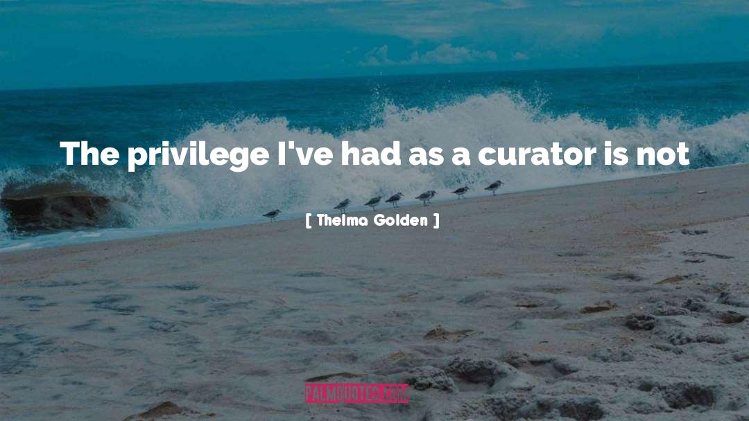 Curator quotes by Thelma Golden