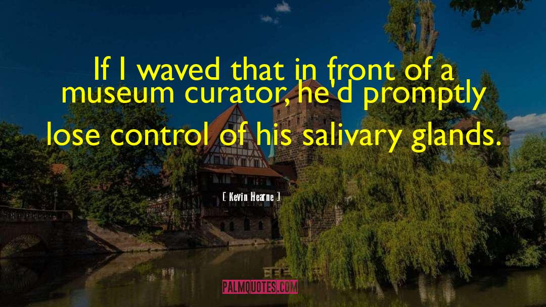 Curator quotes by Kevin Hearne