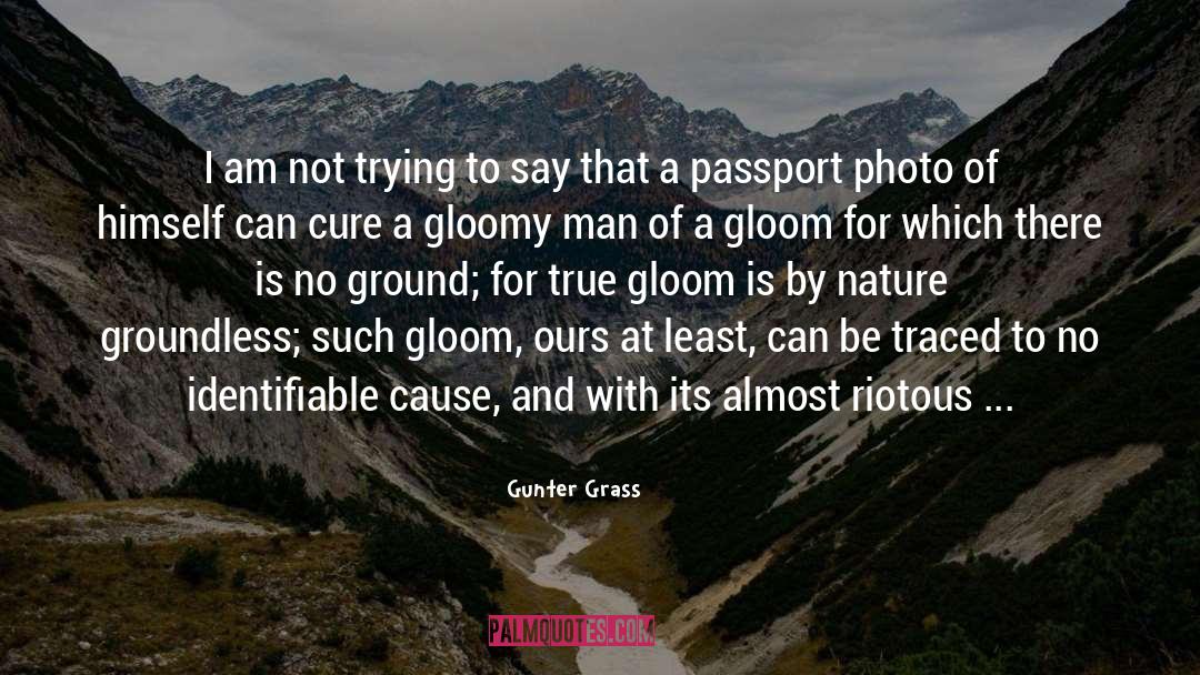 Cure quotes by Gunter Grass