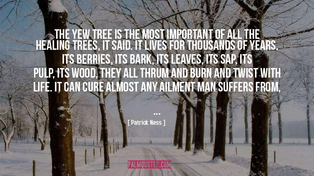 Cure quotes by Patrick Ness