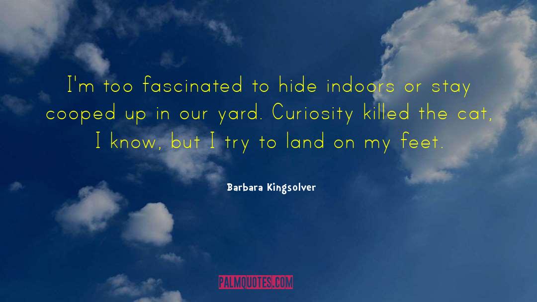 Curiosity Killed The Cat quotes by Barbara Kingsolver
