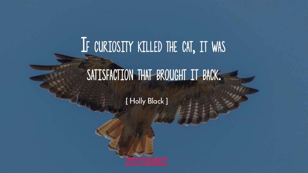 Curiosity Killed The Cat quotes by Holly Black