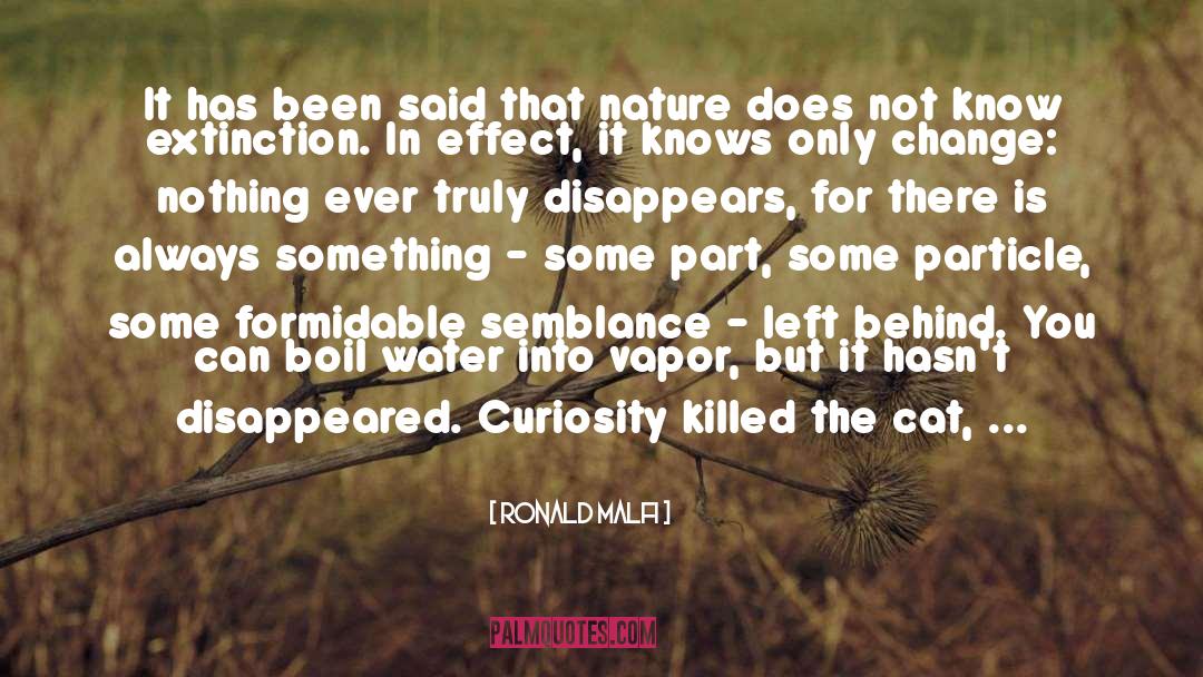 Curiosity Killed The Cat quotes by Ronald Malfi