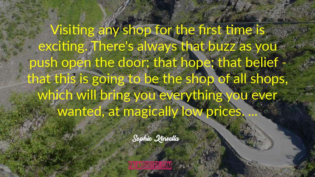 Curiosity Shop quotes by Sophie Kinsella